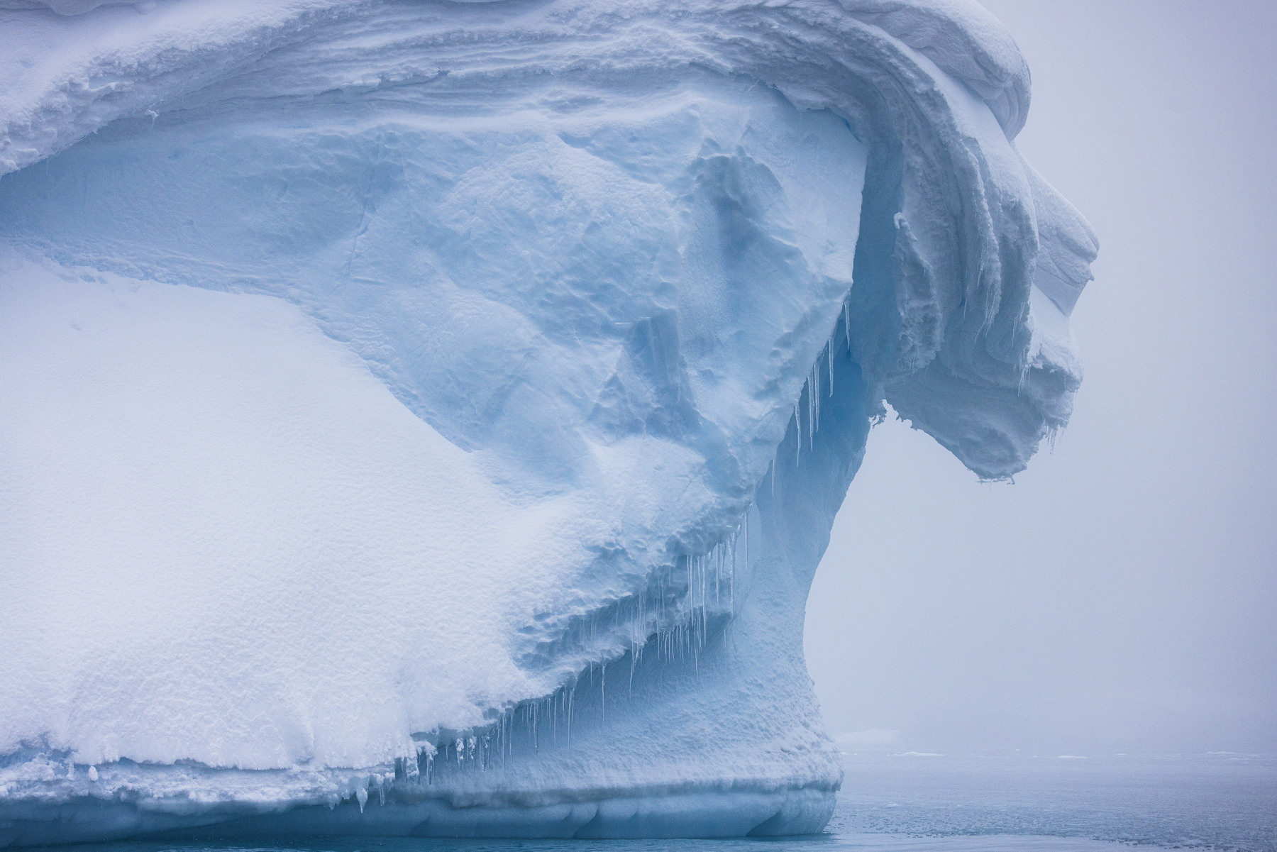 Iceberg