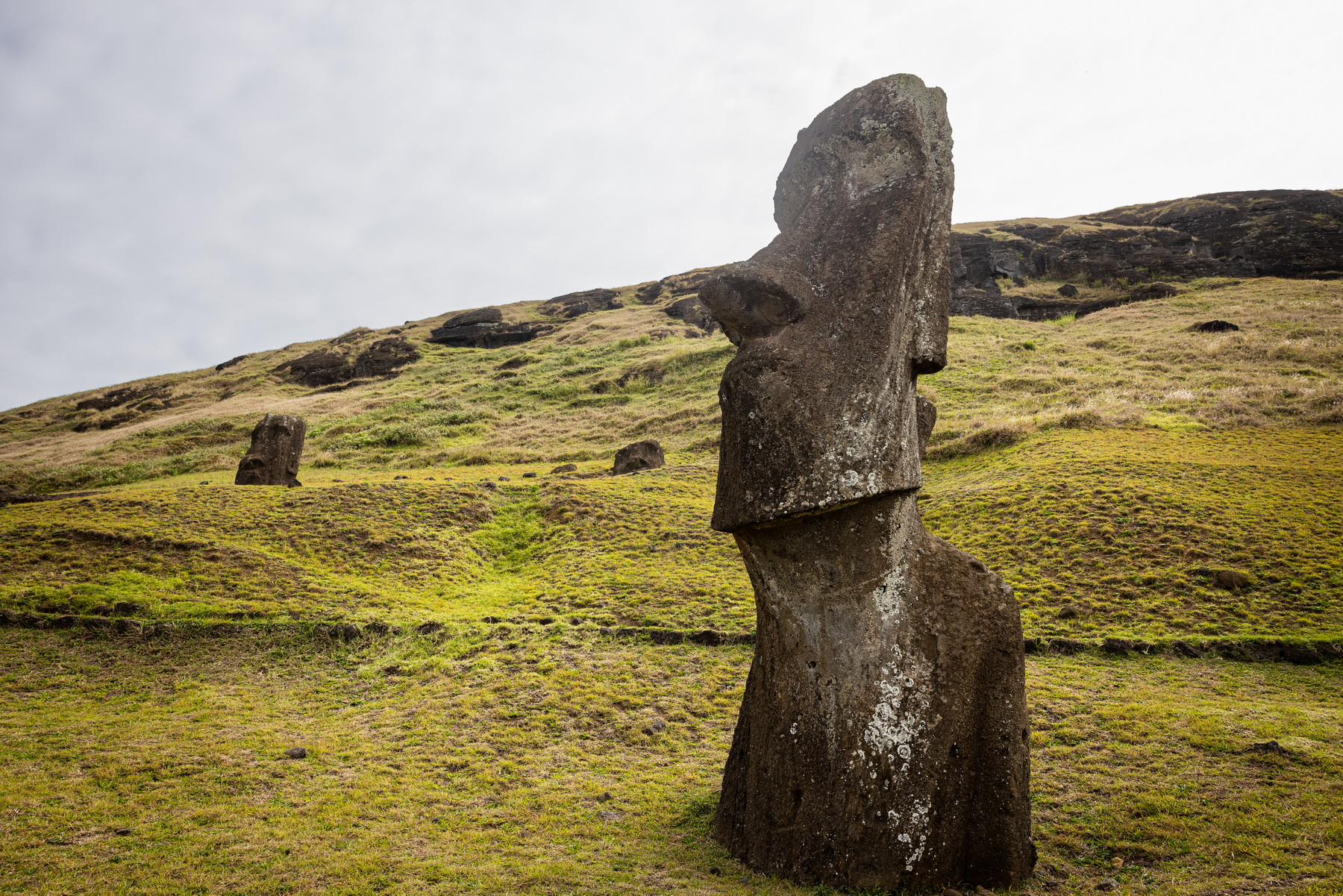 Moai Statue