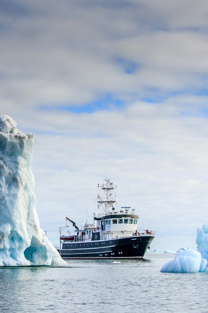 Polar expedition photography charter